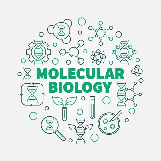 Molekulyar Biologiya Kursu